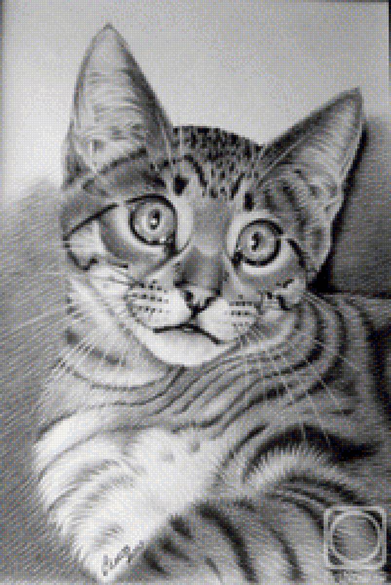 котик - предпросмотр