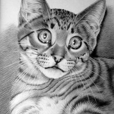 Схема вышивки «котик»