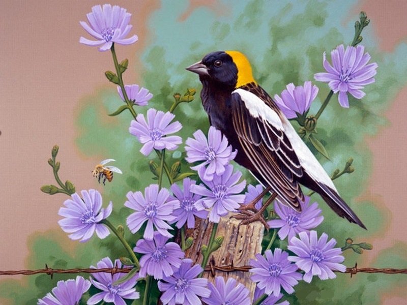 čakanka,vtáčik - оригинал