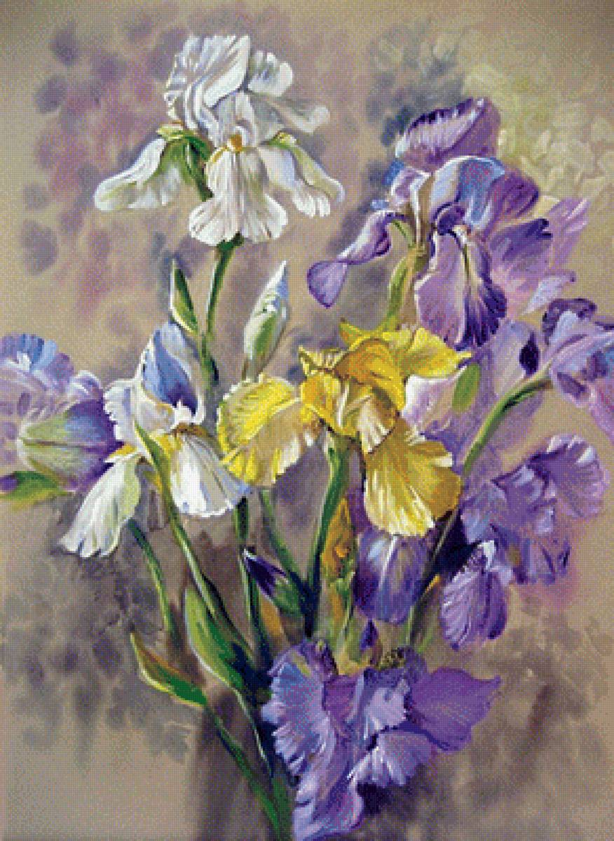 kosatce - предпросмотр