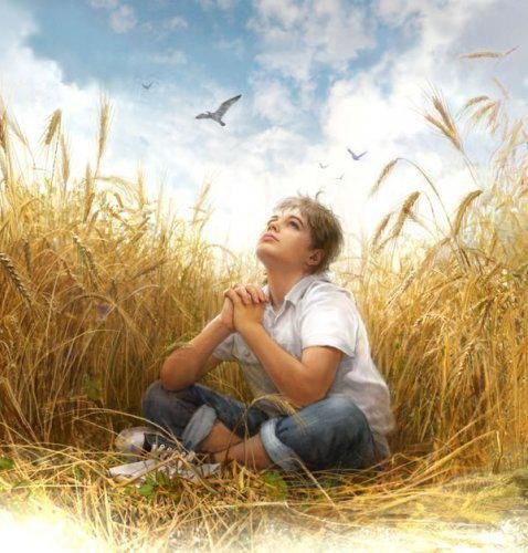 літо - літо, квіти - оригинал