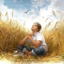 Схема вышивки «жаворонок»