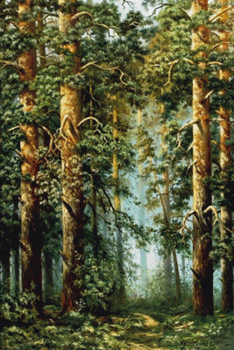 лесная чаща - пейзаж, природа - предпросмотр