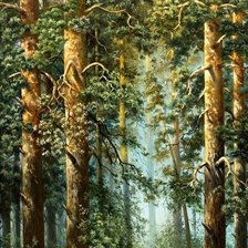 Схема вышивки «лесная чаща»