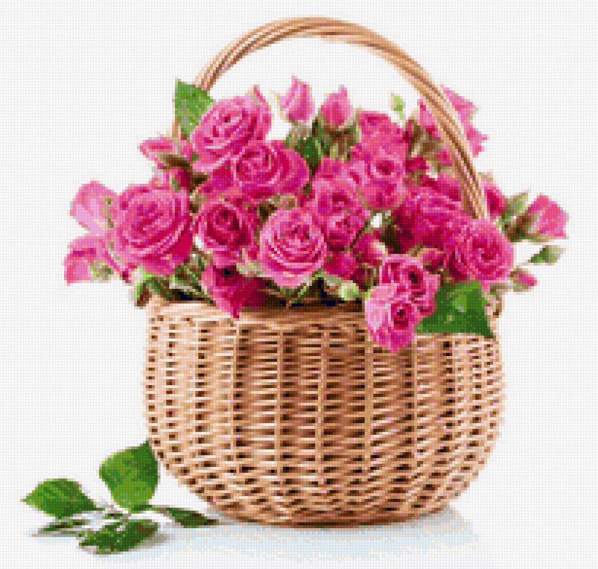роза - букет, корзина, цветы - предпросмотр