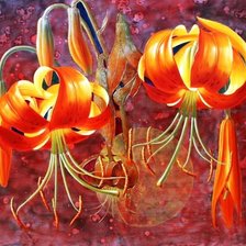 Схема вышивки «№1626945»