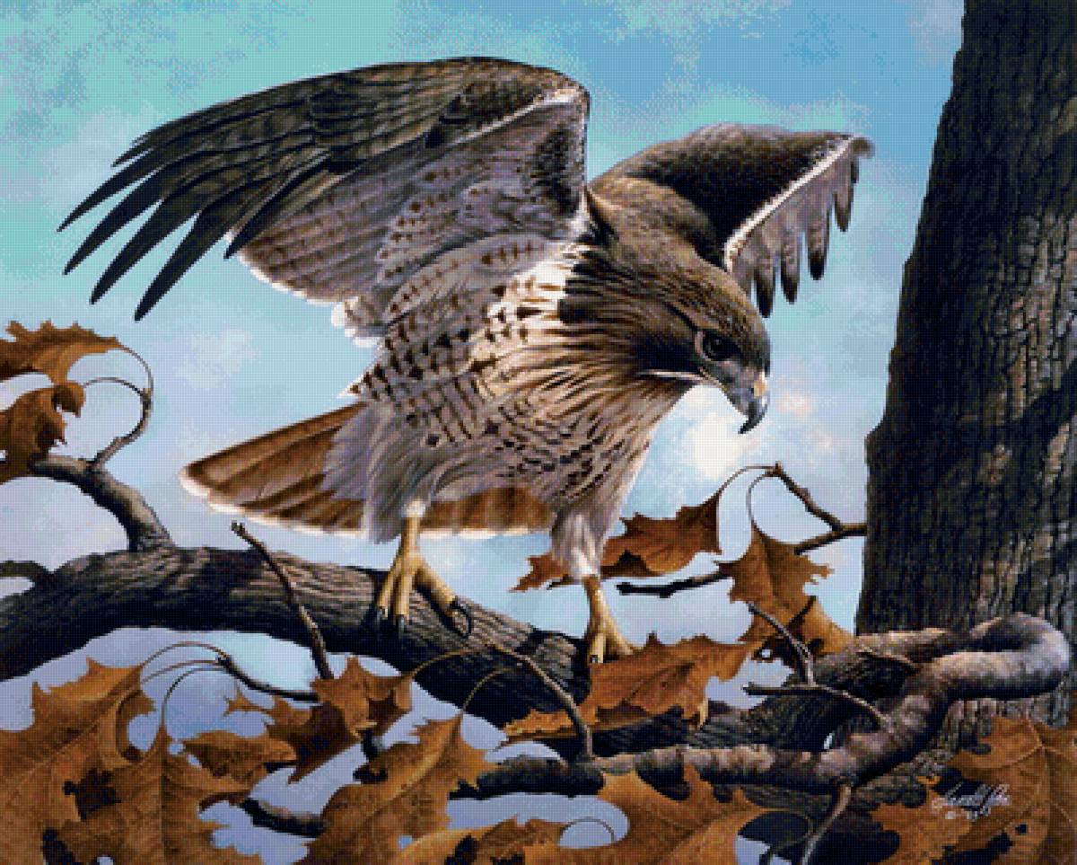 Птицы - животные - предпросмотр