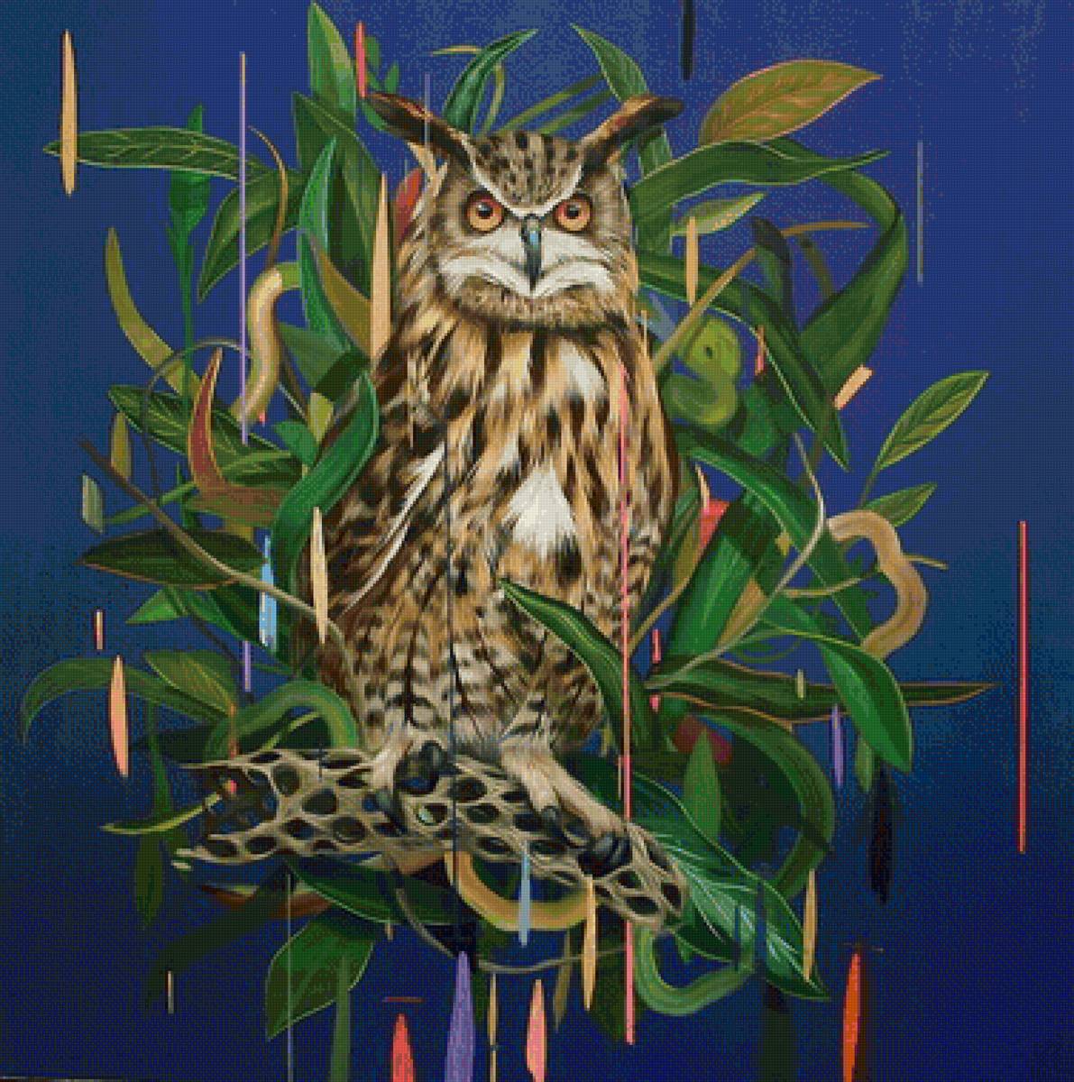 Сова - животные - предпросмотр