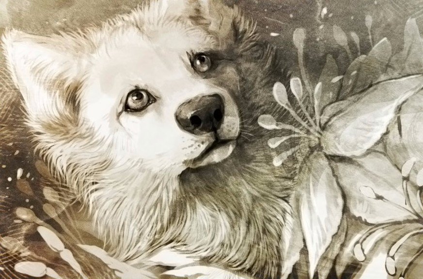 №1627126 - оригинал