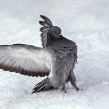 Схема вышивки «№1627176»