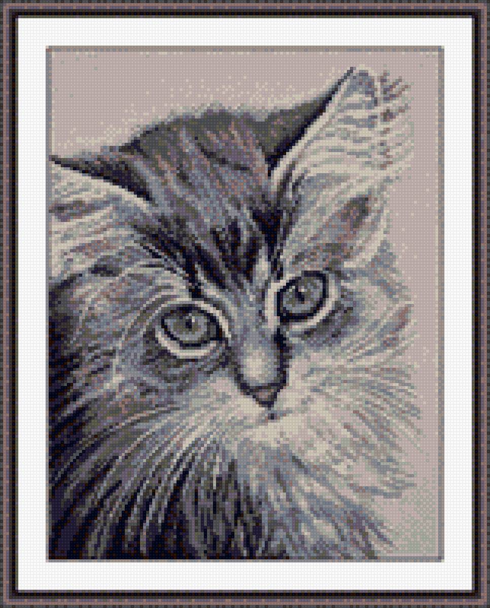 №1627756 - предпросмотр