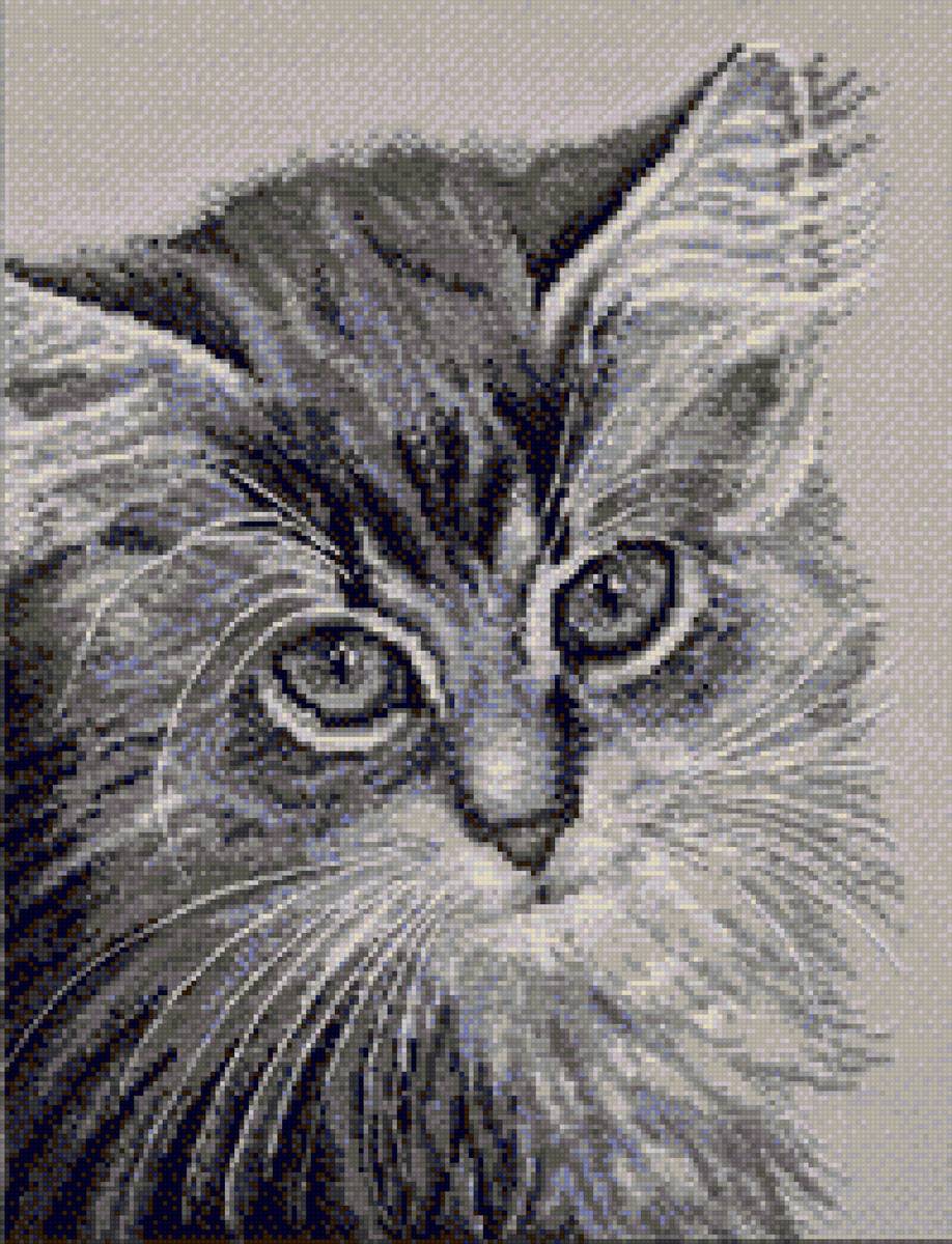 кашатинаf - предпросмотр