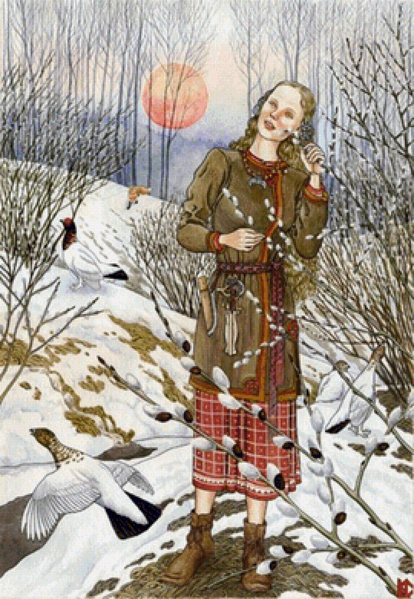 Верба - предпросмотр