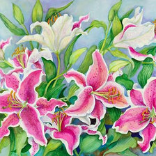 Схема вышивки «№1627911»