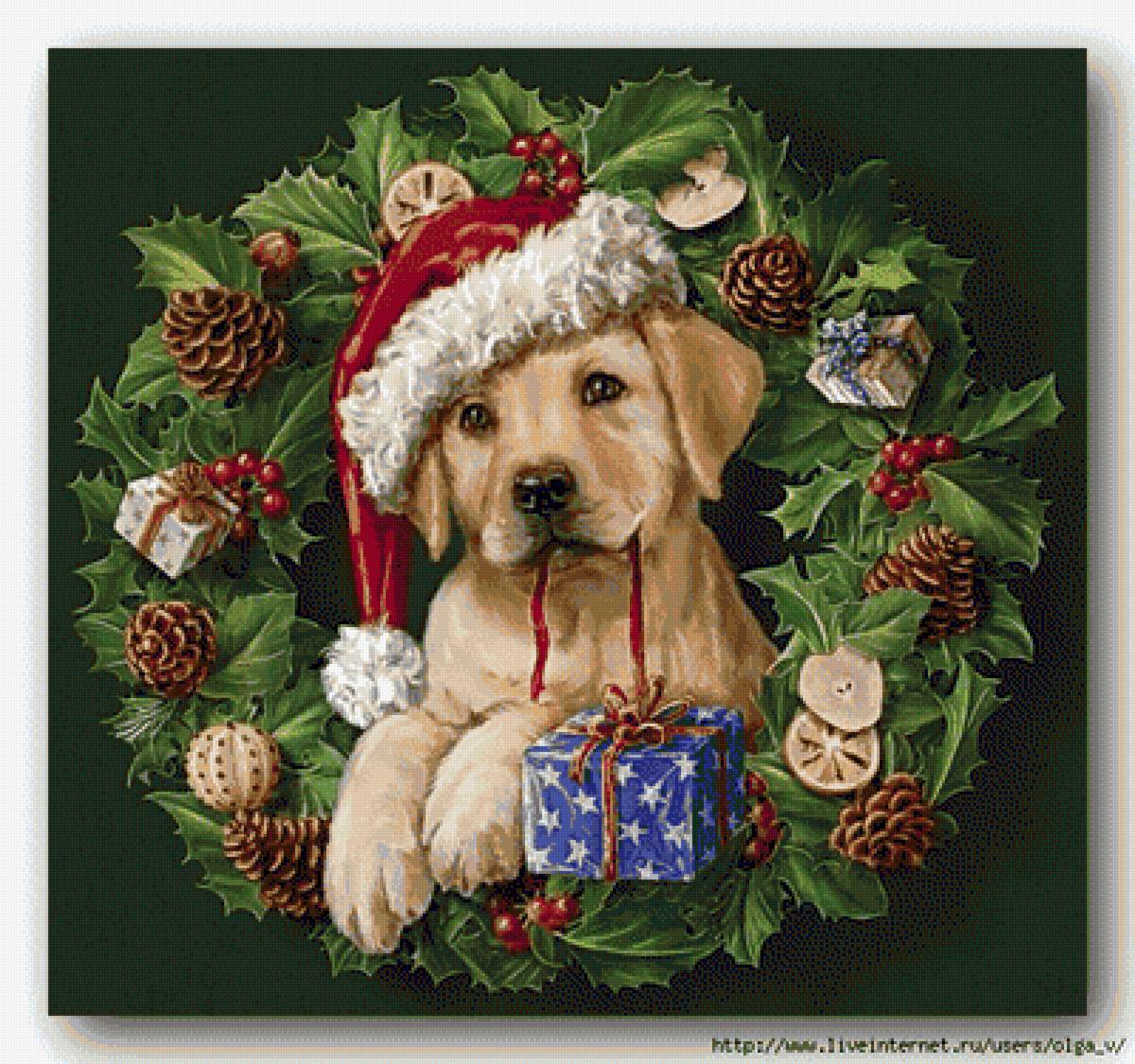 №1628002 - подарки, праздник, венок, собака - предпросмотр