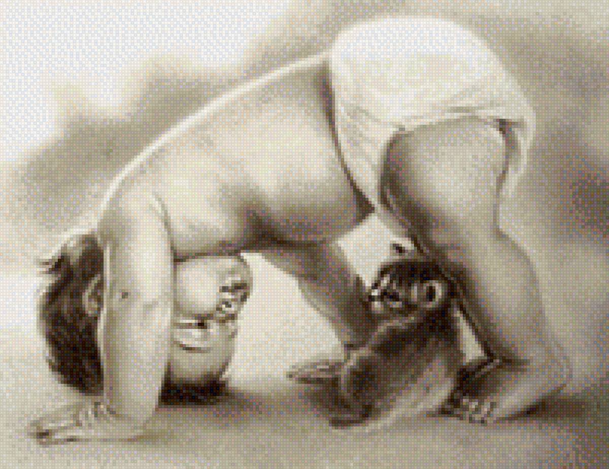 333 - предпросмотр