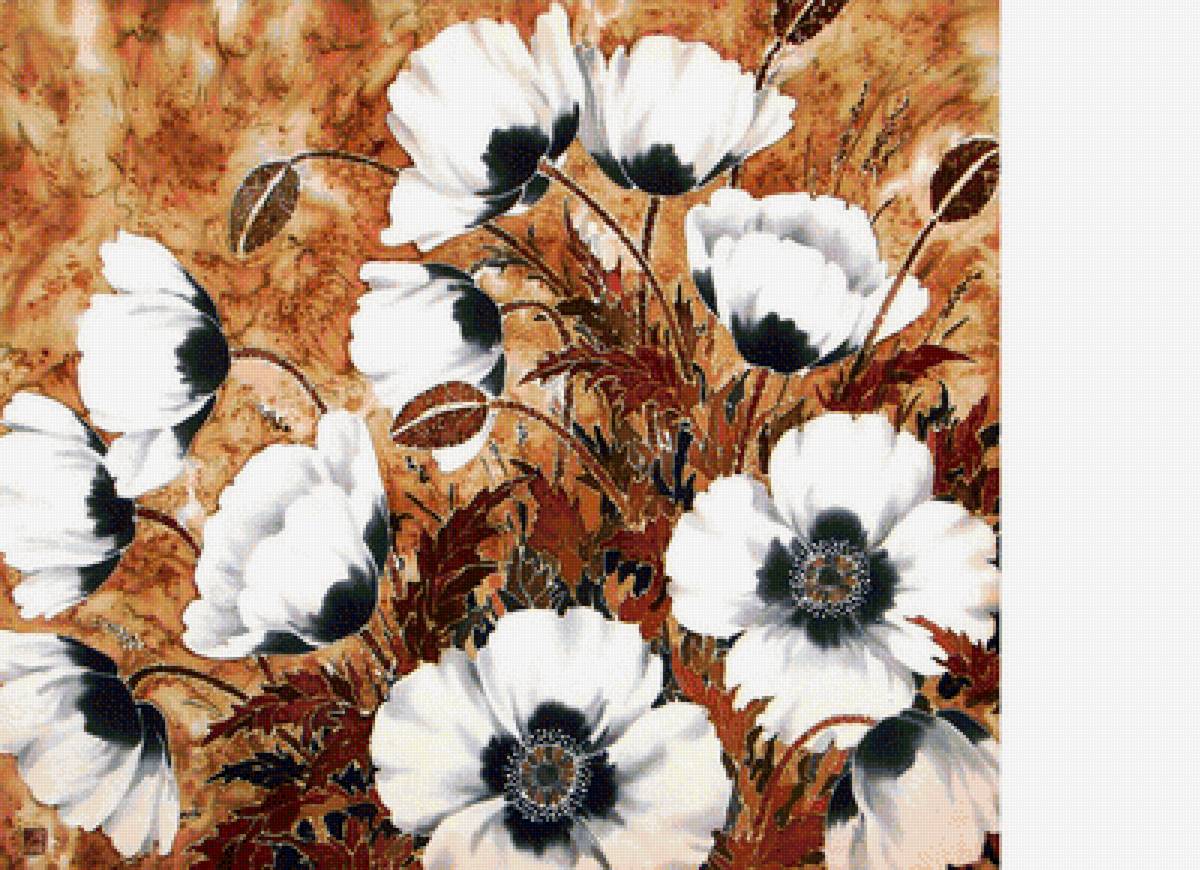 Белые маки - маки - предпросмотр