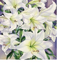 Схема вышивки «№1628922»