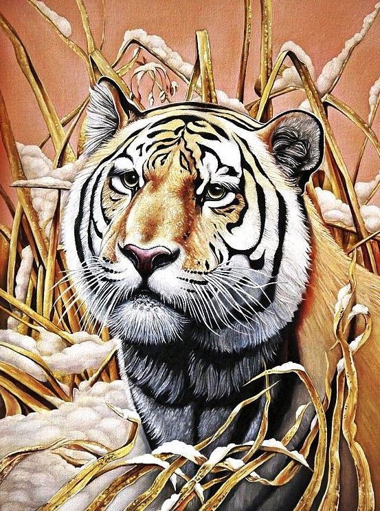 Тигр - тигр, портрет, животные, хищники - оригинал
