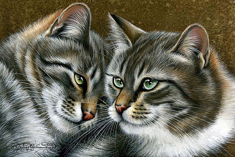Сестрички - картина, пара, кошки, коты, животные - оригинал