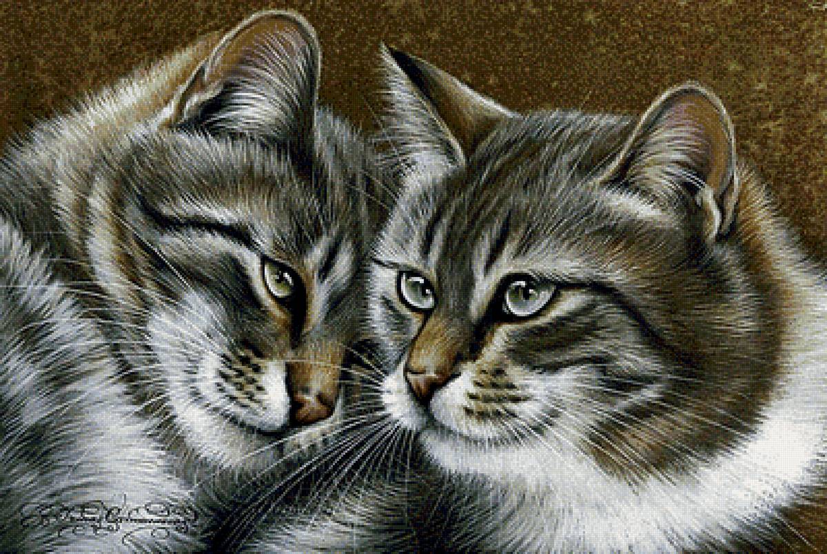 Сестрички - кошки, картина, пара, коты, животные - предпросмотр