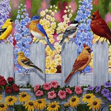 Схема вышивки «vtáci na plote,kvety»
