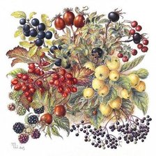 Схема вышивки «№1629333»