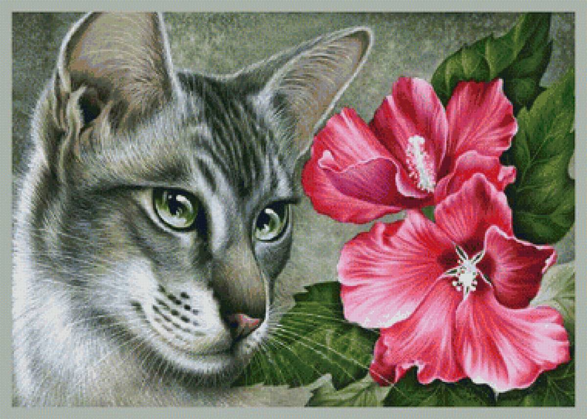 mačka,kvety - предпросмотр
