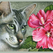 Оригинал схемы вышивки «mačka,kvety» (№1629485)