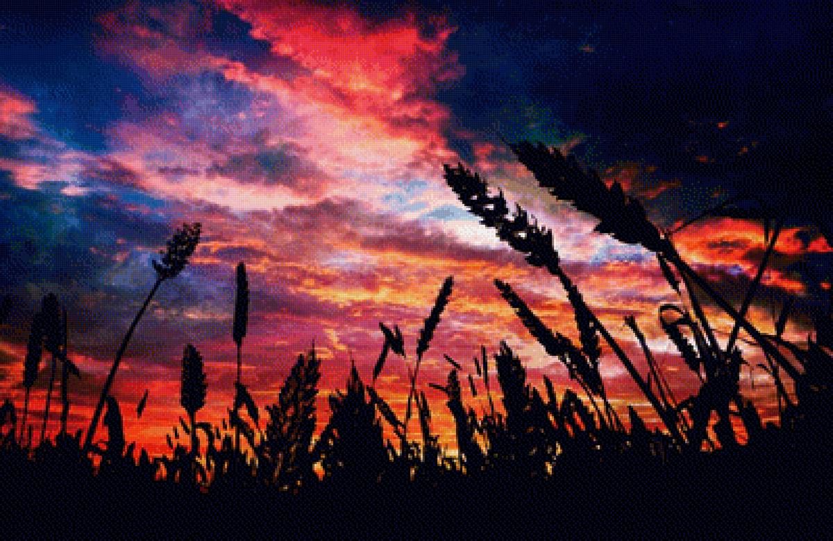 №1629511 - предпросмотр