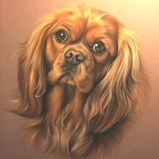 Схема вышивки «№1629524»