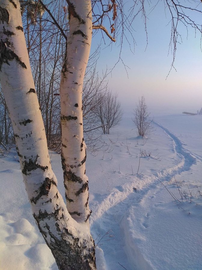 №1629855 - оригинал