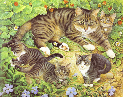 кошки в землянике - животные, пейзаж, природа - оригинал