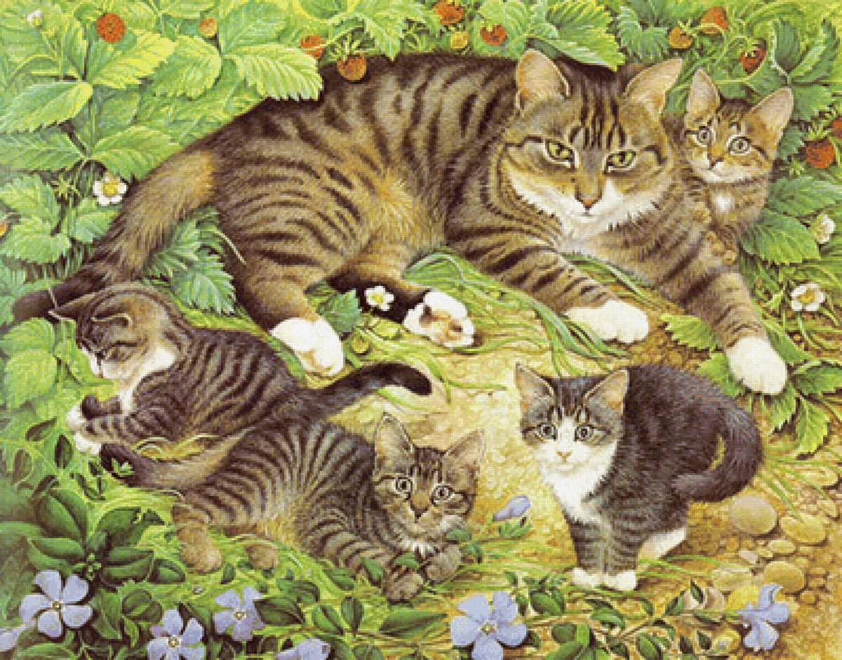 кошки в землянике - природа, животные, пейзаж - предпросмотр