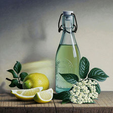 Схема вышивки «№1630406»