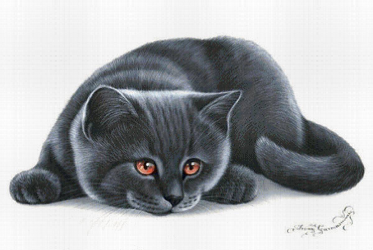 Серый котенок - коты - предпросмотр