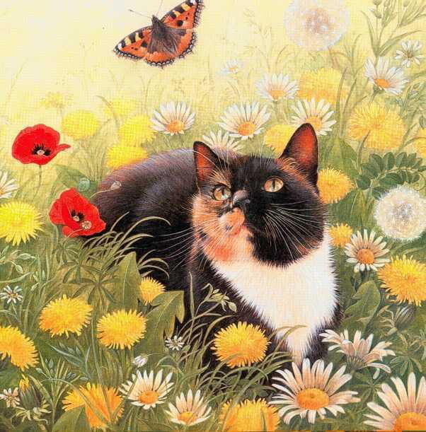 бабочка и кот - природа, картина, животные, пейзаж - оригинал