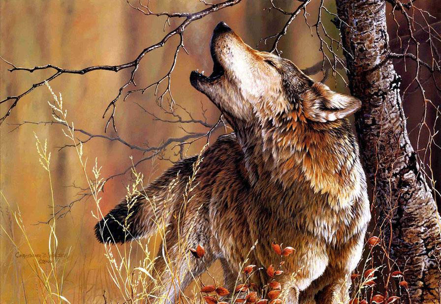 волчья песня - животные, природа, картина - оригинал