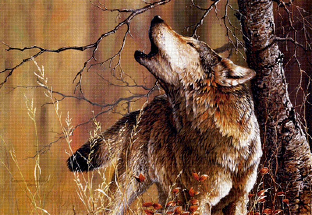 волчья песня - природа, картина, животные - предпросмотр