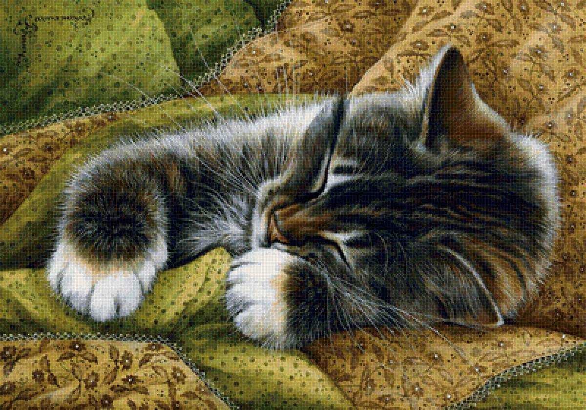Сладкий сон - коты - предпросмотр
