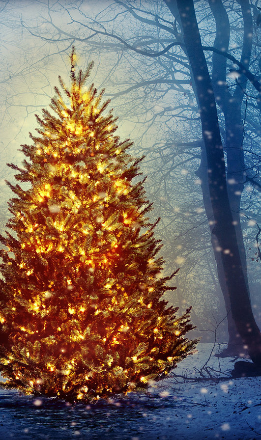 Триптих олень 2 - лес, животные - оригинал