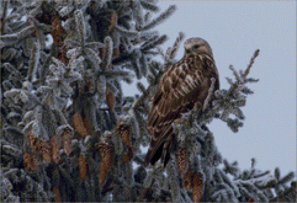 зима - предпросмотр