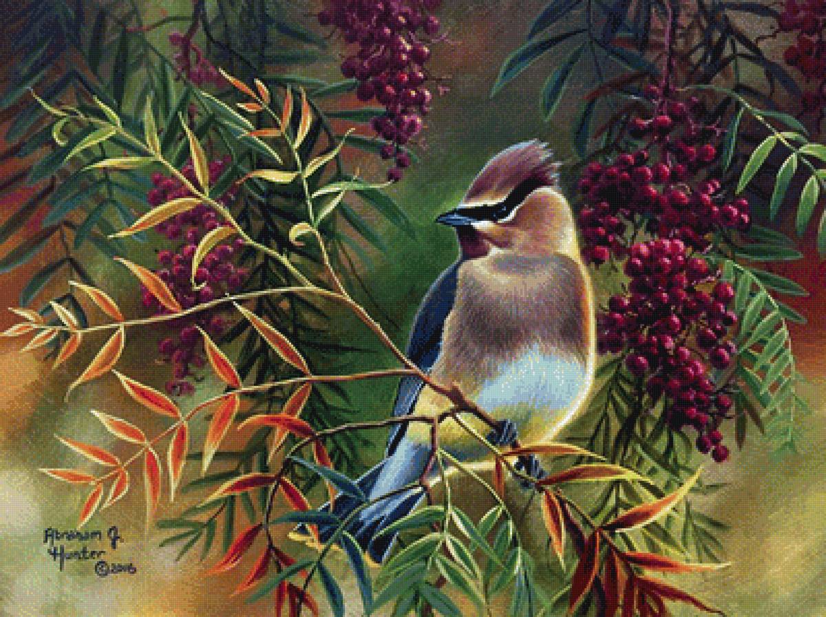 №1631432 - птицы - предпросмотр