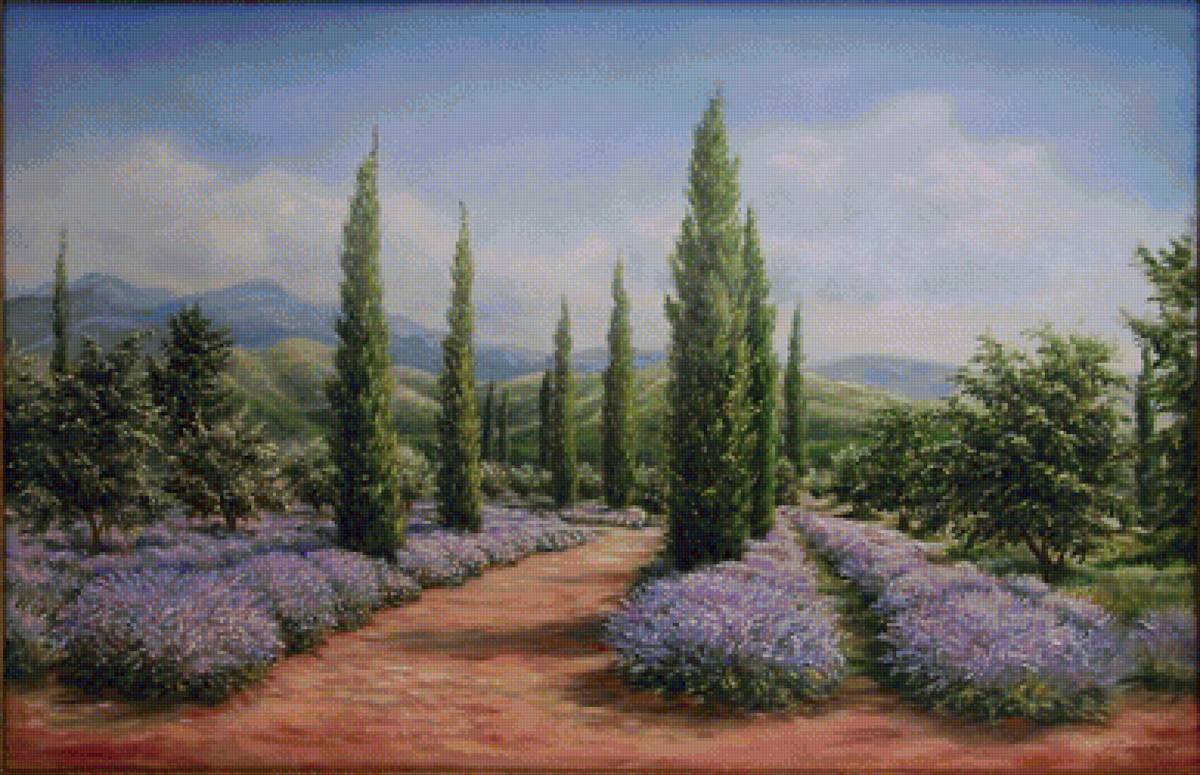 Лаванда - предпросмотр