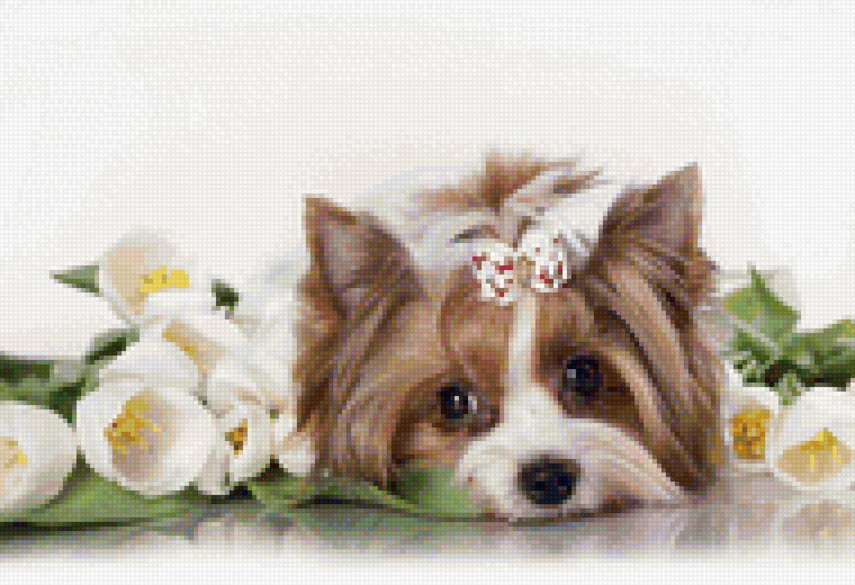 Собачка - собаки, животные - предпросмотр