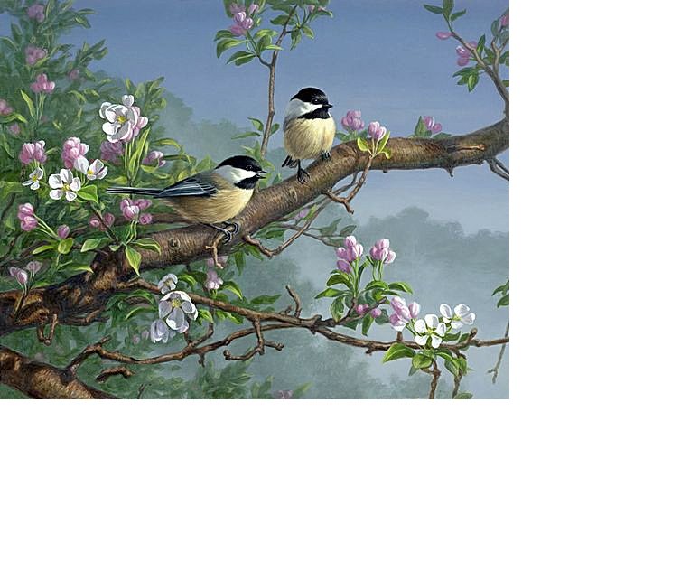 №1631525 - оригинал