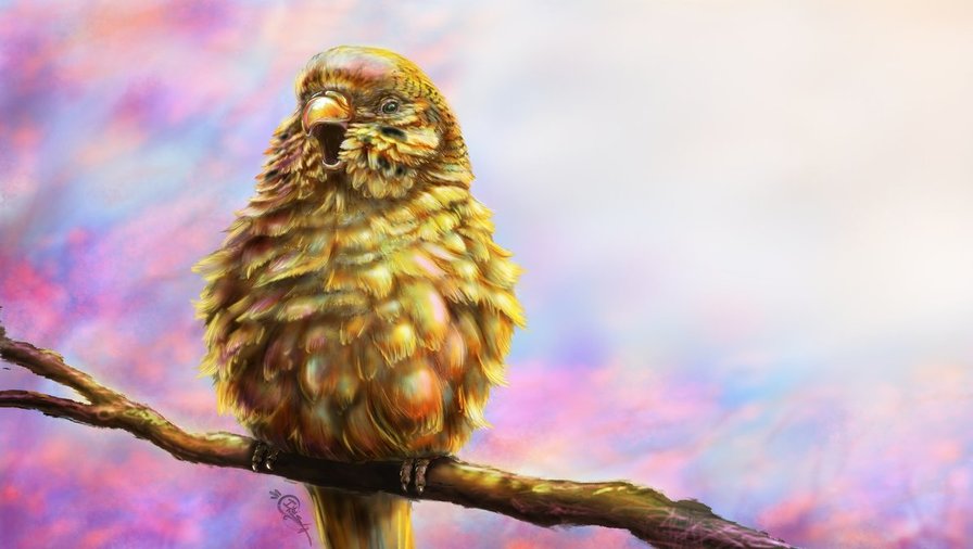 №1631619 - птицы - оригинал