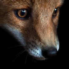 Схема вышивки «№1631699»