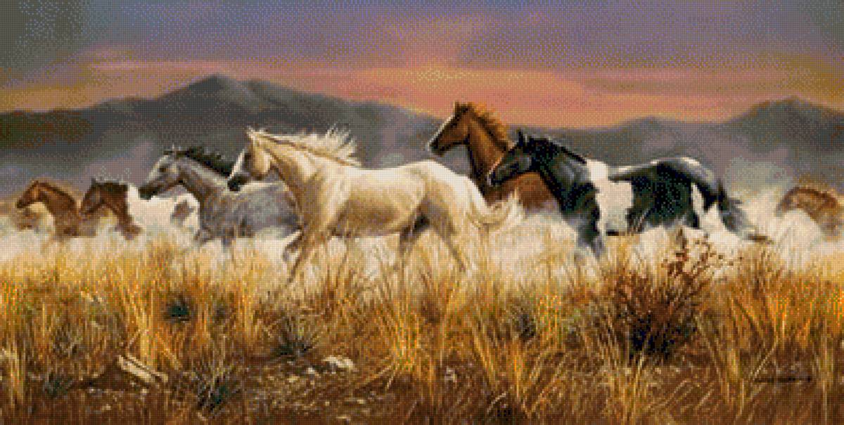 в галоп - животни - предпросмотр