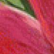 Предпросмотр схемы вышивки «Розовый фламинго» (№1632023)